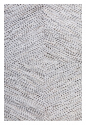 ModernModern Rug