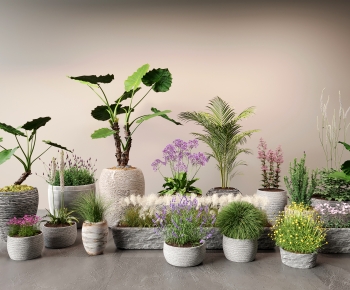 Modern Ground Green Plant Potted Plants-ID:735778881