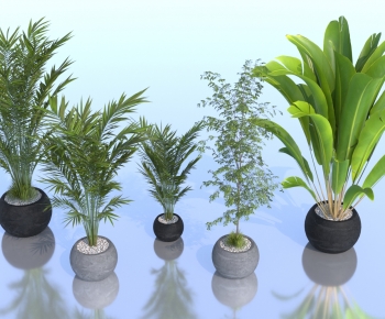 Modern Ground Green Plant Potted Plants-ID:656184914