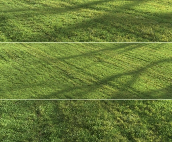 Modern The Grass-ID:169517992