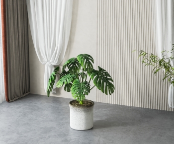 Modern Ground Green Plant Potted Plants-ID:209920887