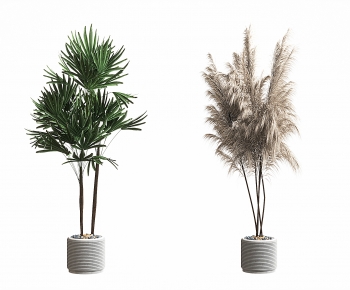 Modern Ground Green Plant Potted Plants-ID:378474958
