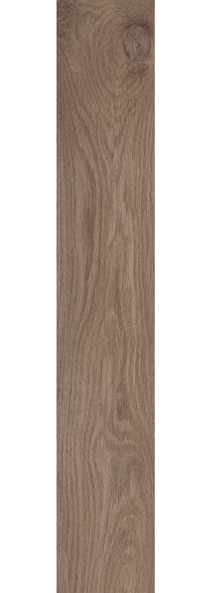 ModernWood Texture