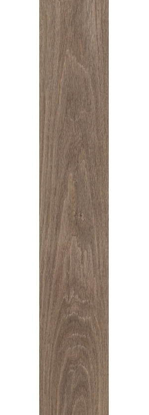 ModernWood Texture