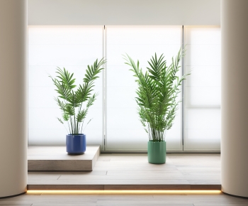 Modern Ground Green Plant Potted Plants-ID:803980848