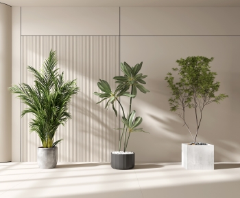 Modern Ground Green Plant Potted Plants-ID:191895014