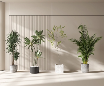 Modern Ground Green Plant Potted Plants-ID:781363963