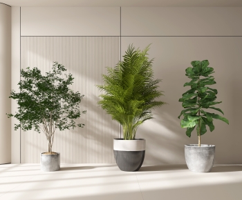 Modern Ground Green Plant Potted Plants-ID:616971029