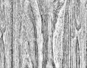 ModernBark Texture