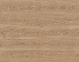 ModernWood Texture