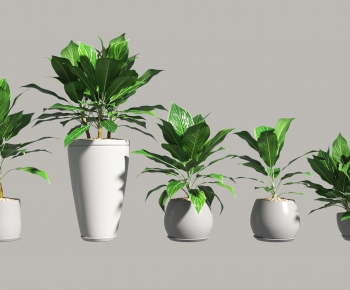 Modern Potted Green Plant-ID:586492063