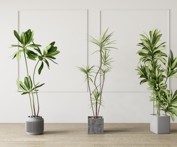 Modern Ground Green Plant Potted Plants-ID:829360571