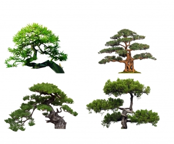 新中式景观树造型罗汉松-ID:159825092