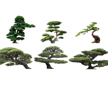 新中式景观树造型罗汉松-ID:672359559