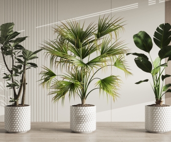 Modern Ground Green Plant Potted Plants-ID:891933929