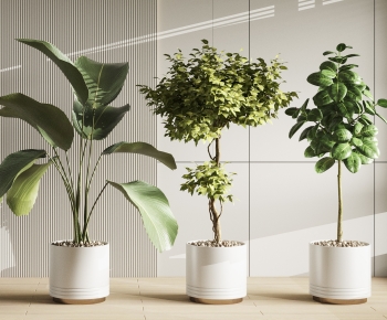 Modern Ground Green Plant Potted Plants-ID:457072971