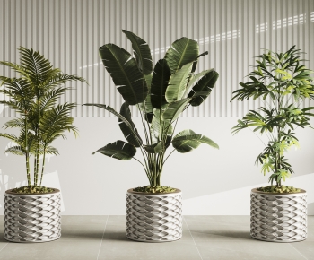 Modern Ground Green Plant Potted Plants-ID:197045097