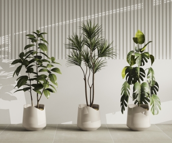 Modern Ground Green Plant Potted Plants-ID:633768087