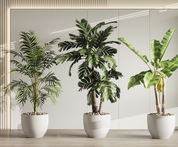 Modern Ground Green Plant Potted Plants-ID:136818995
