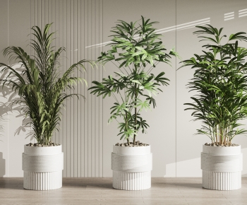 Modern Ground Green Plant Potted Plants-ID:228940016