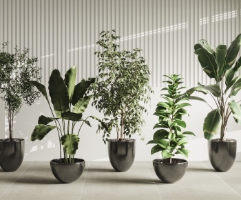 Modern Ground Green Plant Potted Plants-ID:613868002