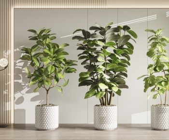 Modern Ground Green Plant Potted Plants-ID:691107998