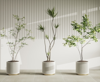 Modern Ground Green Plant Potted Plants-ID:444268949
