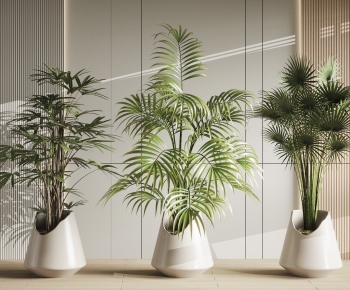 Modern Ground Green Plant Potted Plants-ID:520220043