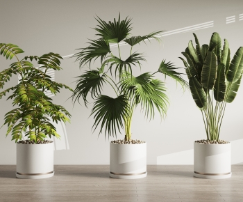 Modern Ground Green Plant Potted Plants-ID:301697027