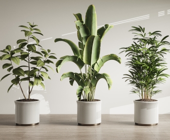Modern Ground Green Plant Potted Plants-ID:220349071