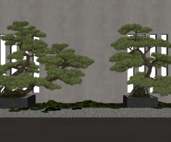 新中式景观树 造型罗汉松-ID:469443083