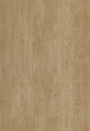 ModernWood Texture