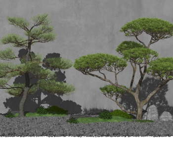 新中式景观树 造型罗汉松-ID:930555119