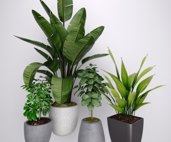 Modern Ground Green Plant Potted Plants-ID:360250008