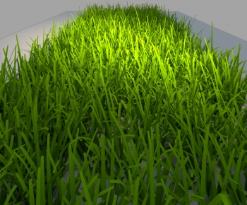Modern The Grass-ID:862747919