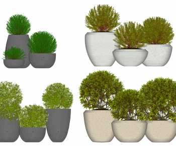 Modern Ground Green Plant Potted Plants-ID:134684094
