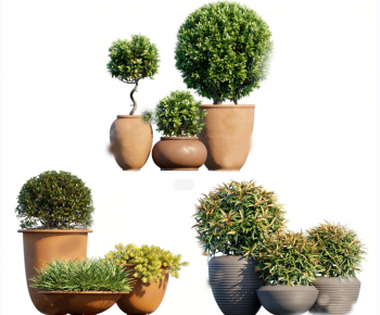 Modern Ground Green Plant Potted Plants-ID:193639046