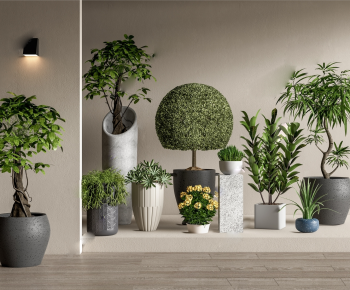 Modern Ground Green Plant Potted Plants-ID:400532011