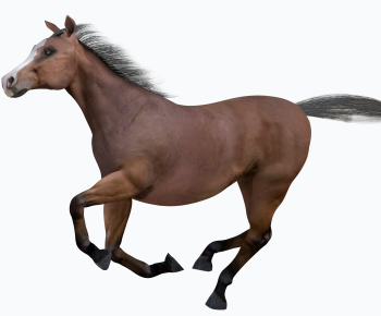 Modern Animal Horse-ID:589596033