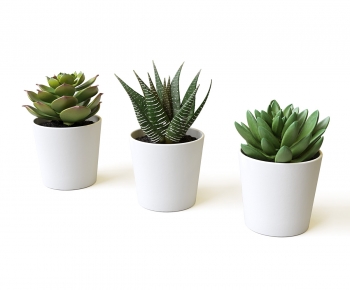 Modern Potted Green Plant-ID:208950079
