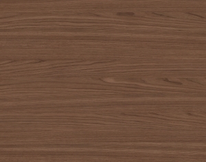 ModernWood Texture