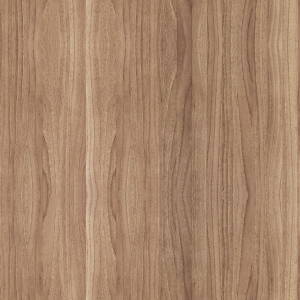 ModernWood Texture