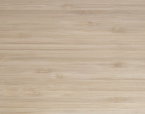 ModernWood Texture