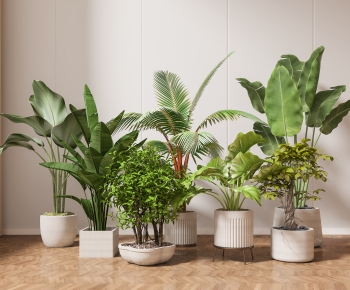 Modern Ground Green Plant Potted Plants-ID:320513012