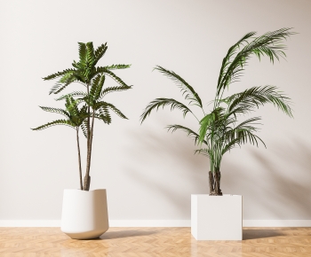 Modern Ground Green Plant Potted Plants-ID:521065955