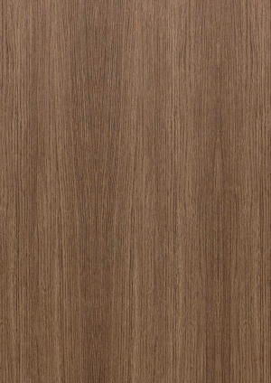 ModernWood Texture