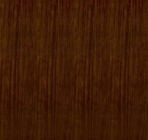 ModernWood Texture