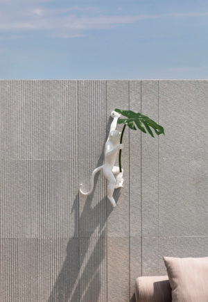 猴子装饰画-ID:346769092