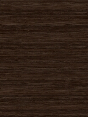 ModernWood Texture