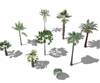 现代景观树 棕榈树 椰子树-ID:822495948